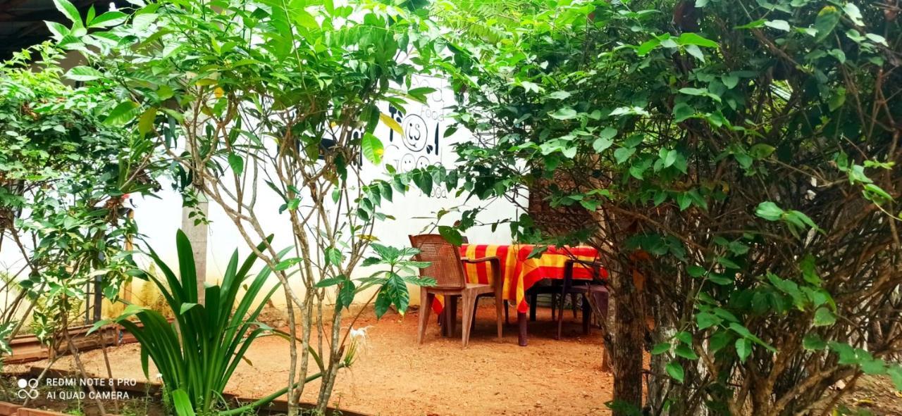 Sigiri Picaso Home Stay シギリヤ エクステリア 写真